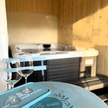 La Merlere : De Charme & Jacuzzi Apartment Langon (Gironde)