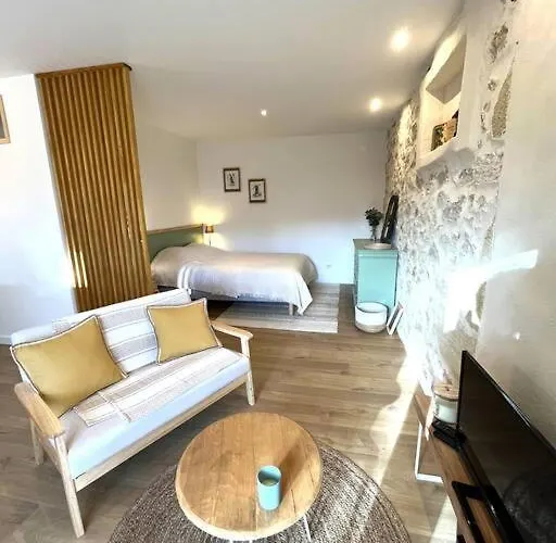 La Merlere : De Charme & Jacuzzi Langon (Gironde)